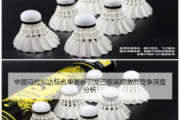 zhong-guo-ma-la-song-da-biao-ming-dan-geng-xin-yin-fa-ba-li-zhou-qi-ji-lie-jing-zheng-shen-du-fen-xi-2-520.jpg